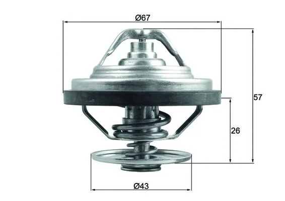 Termostat, chladivo MAHLE TX15887