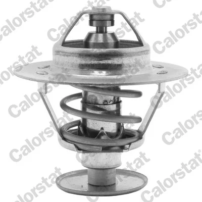 Termostat, chladivo CALORSTAT by Vernet TH1538.82J