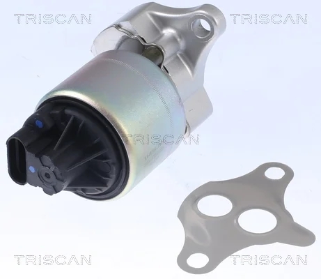 AGR-Ventil TRISCAN 881321001