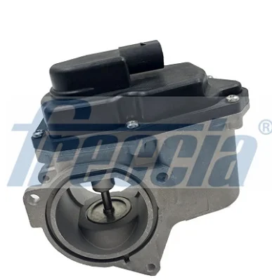AGR-Ventil FRECCIA EGR12-123 AGR-Ventil FRECCIA EGR12-123