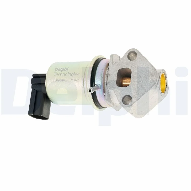 AGR-Ventil DELPHI EG10646-12B1 AGR-Ventil DELPHI EG10646-12B1